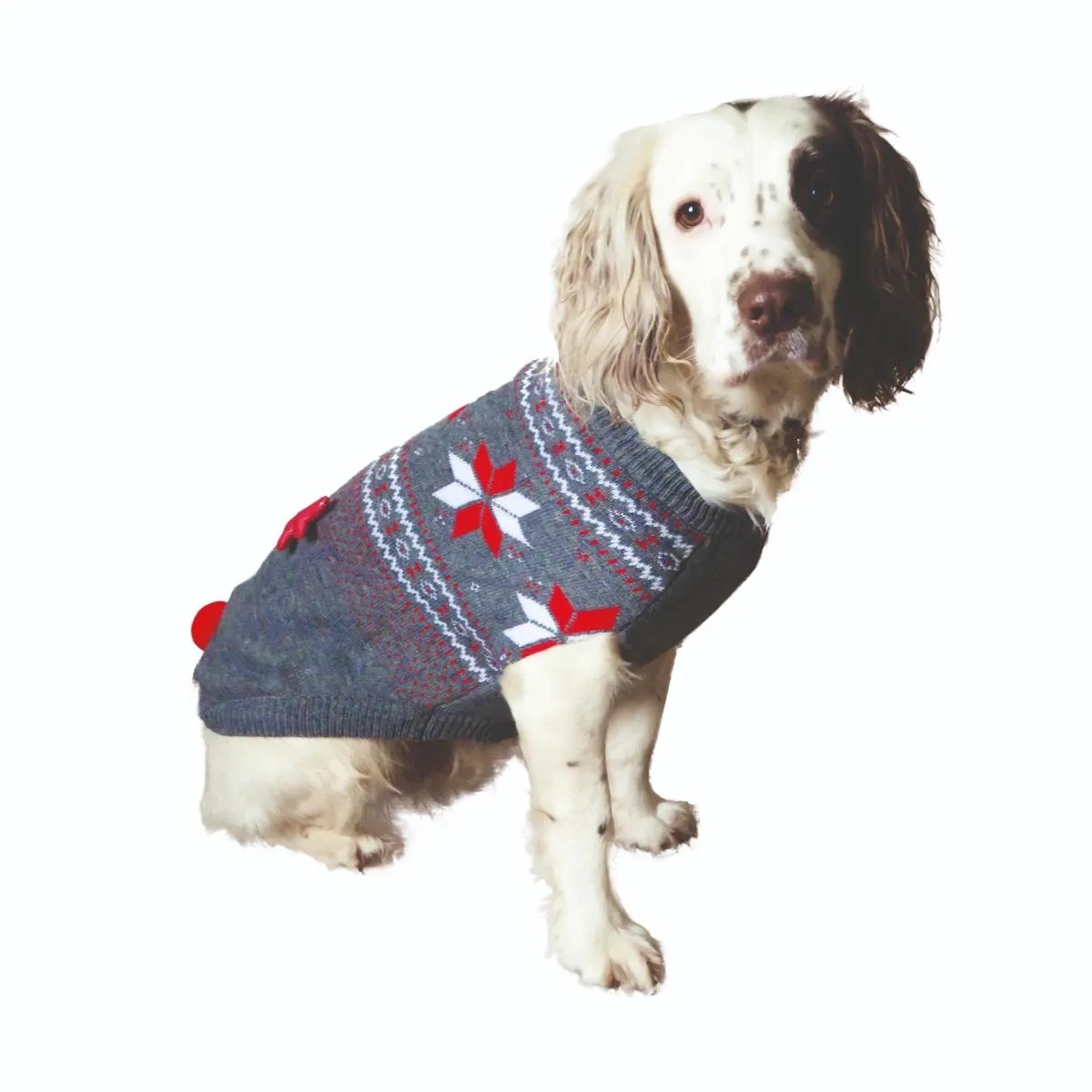 Cupid & Comet | Christmas Dog Dress-Up | Reindeer Light Up Jumper