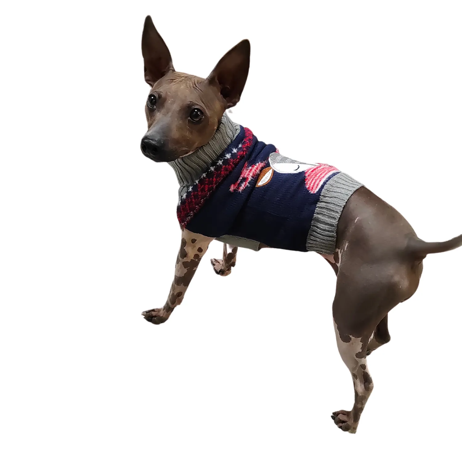 Reindeer Sweater | Christmas Dog Jumper by Happy Pet