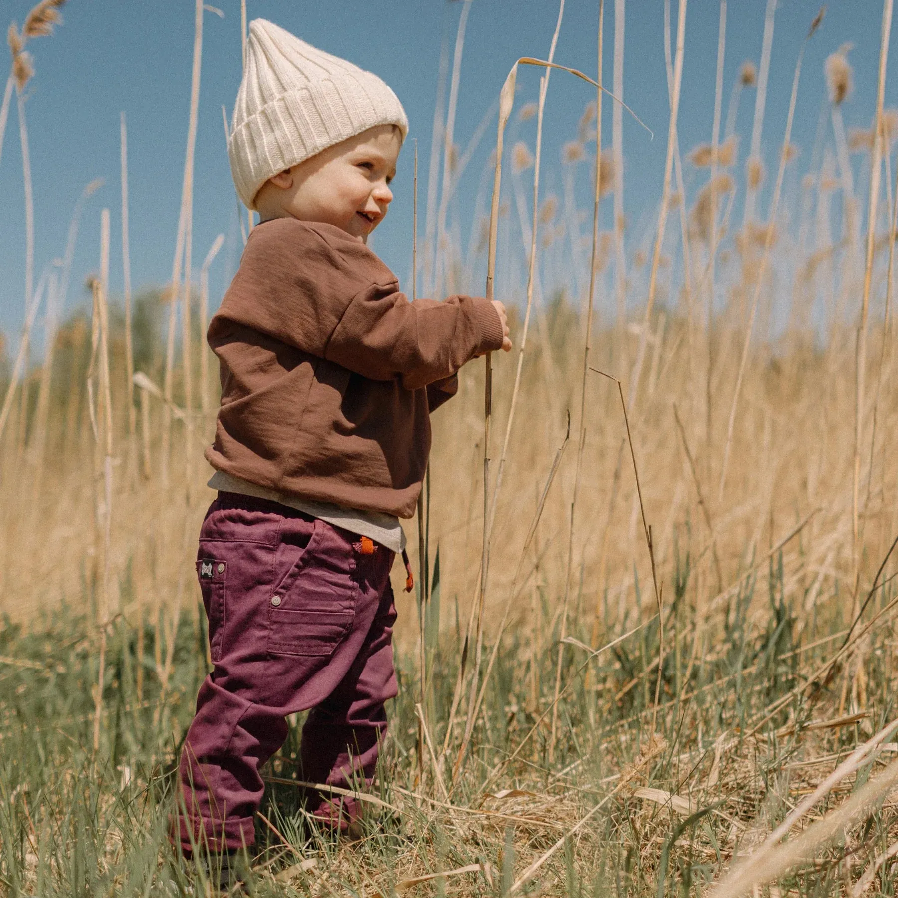 The Aster Cargo Pants - Mauve - BABY