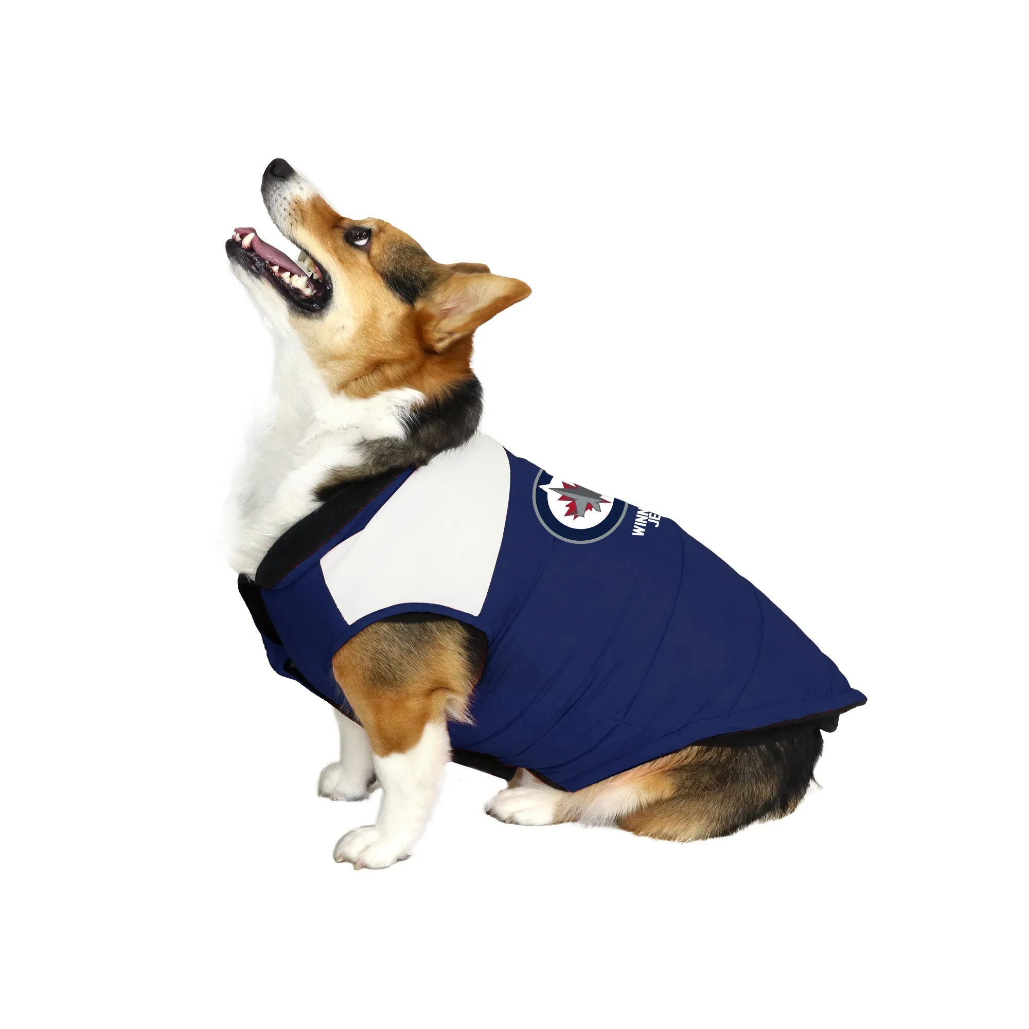 Winnipeg Jets Pet Parka Puff Vest